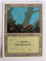 Revised - Forest V1 - #direktkauf