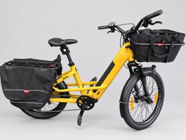 Lastenebike Benno 46er 10D CX