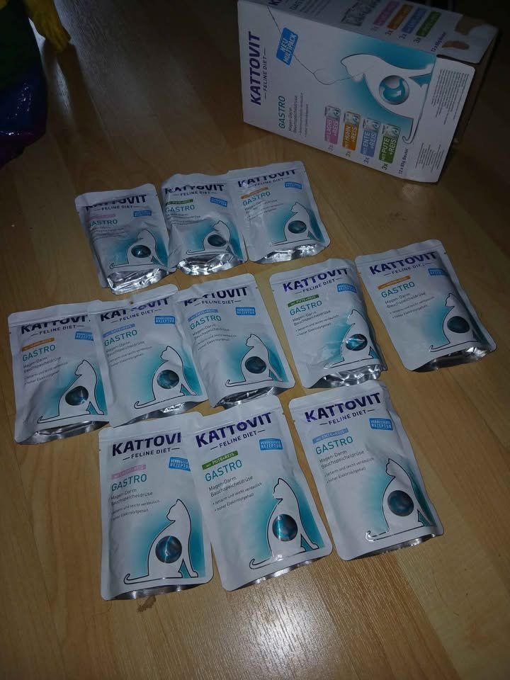 Mangimi: Kattovit Gastro Katzenfutter Multipack, 11 Portionen – Nuovo (secondo la descrizione) da Biberist venduto da DerRegenbogenfisch