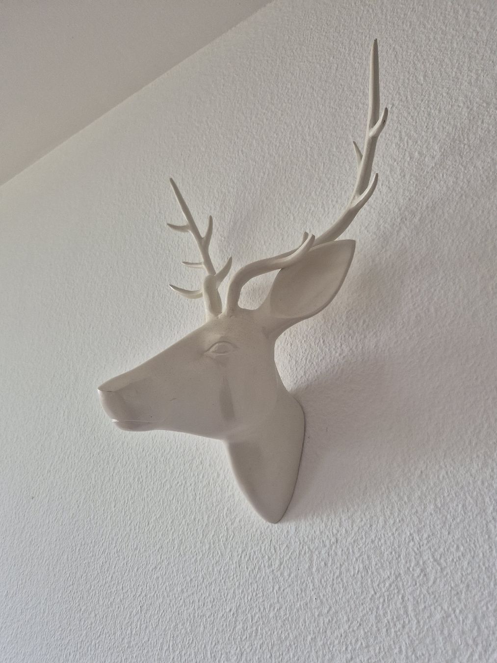 Tutte le decorazioni: Deer Head Wall Mount Decor - metal – Usato da Zürich venduto da mrs_kz6n