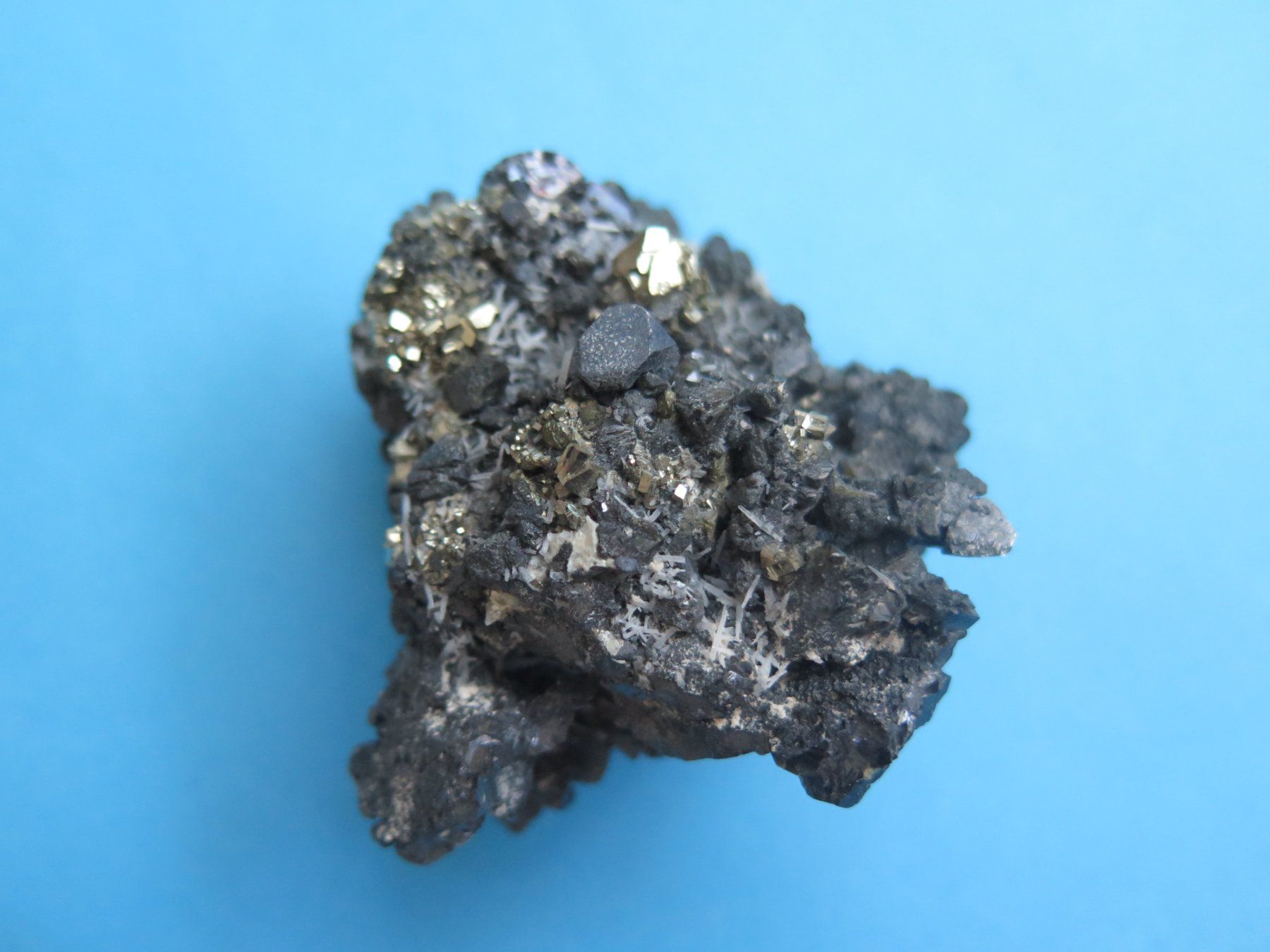 Minerali & Pietre curative: Galena mit Seligmannit und Chalkopyrit Stufe – Usato da Schaffhausen venduto da Yamakana51L8736OQ8 6