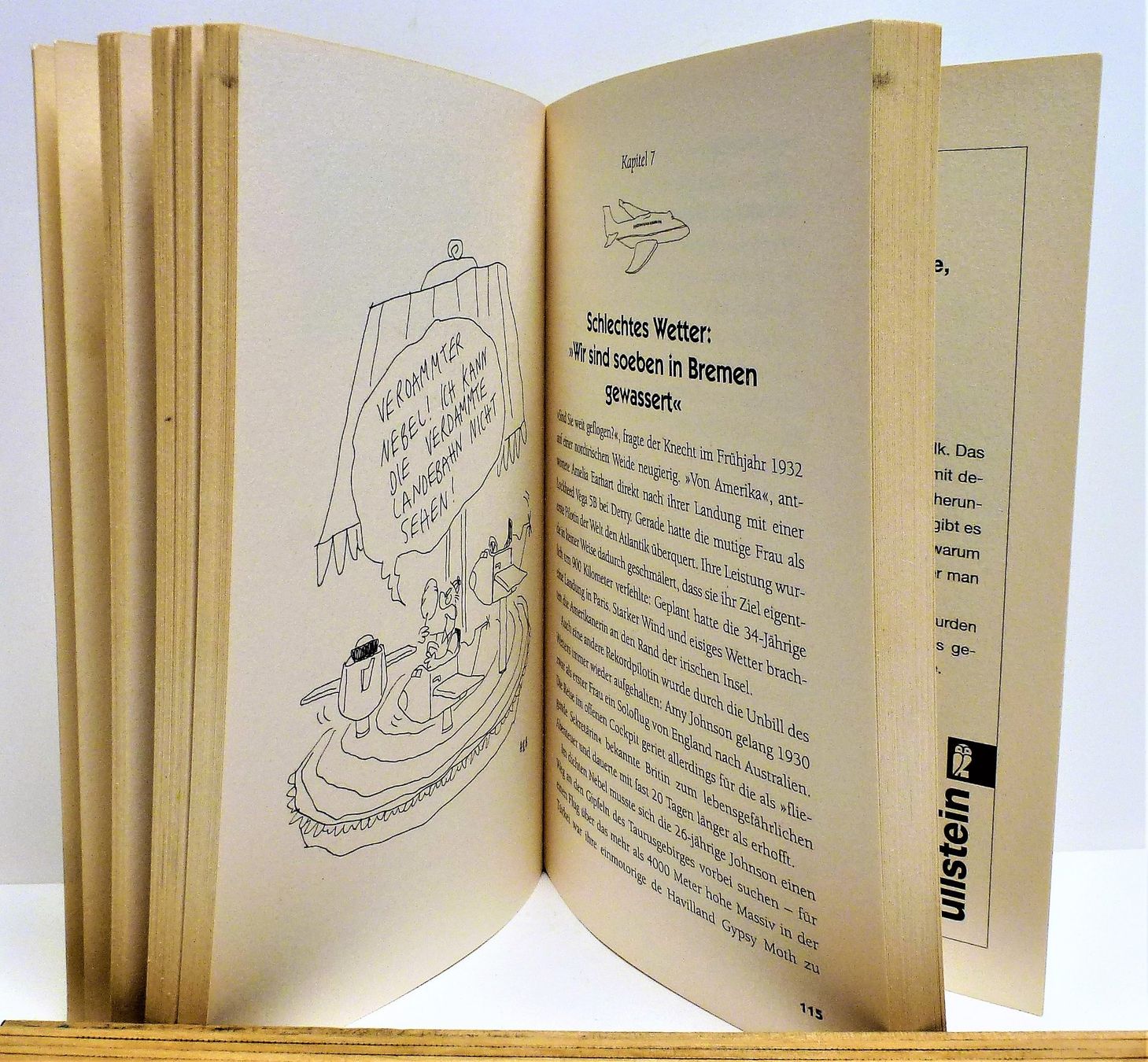 Libri: Kurioses aus dem Cockpit – Usato da Murgenthal venduto da B.StM 6