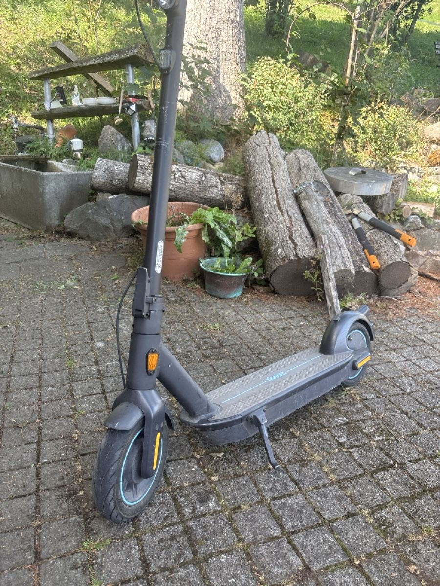 Kickboard: Ninebot G30D defekt – Difettoso da Grabs venduto da re6_lfm5