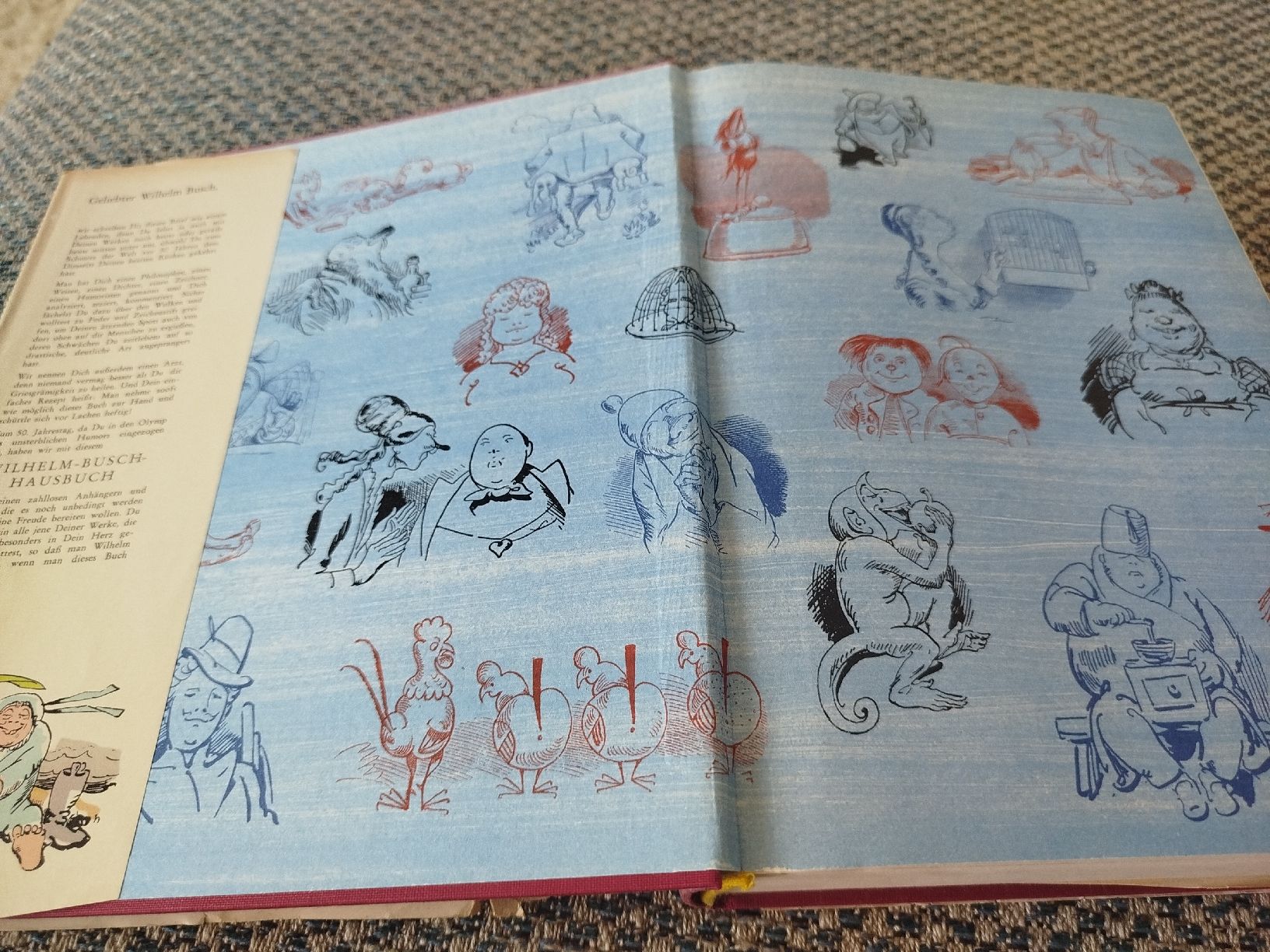 Libri: Album Wilhelm Busch Vintage – Usato da Genève venduto da Octo-puces 1