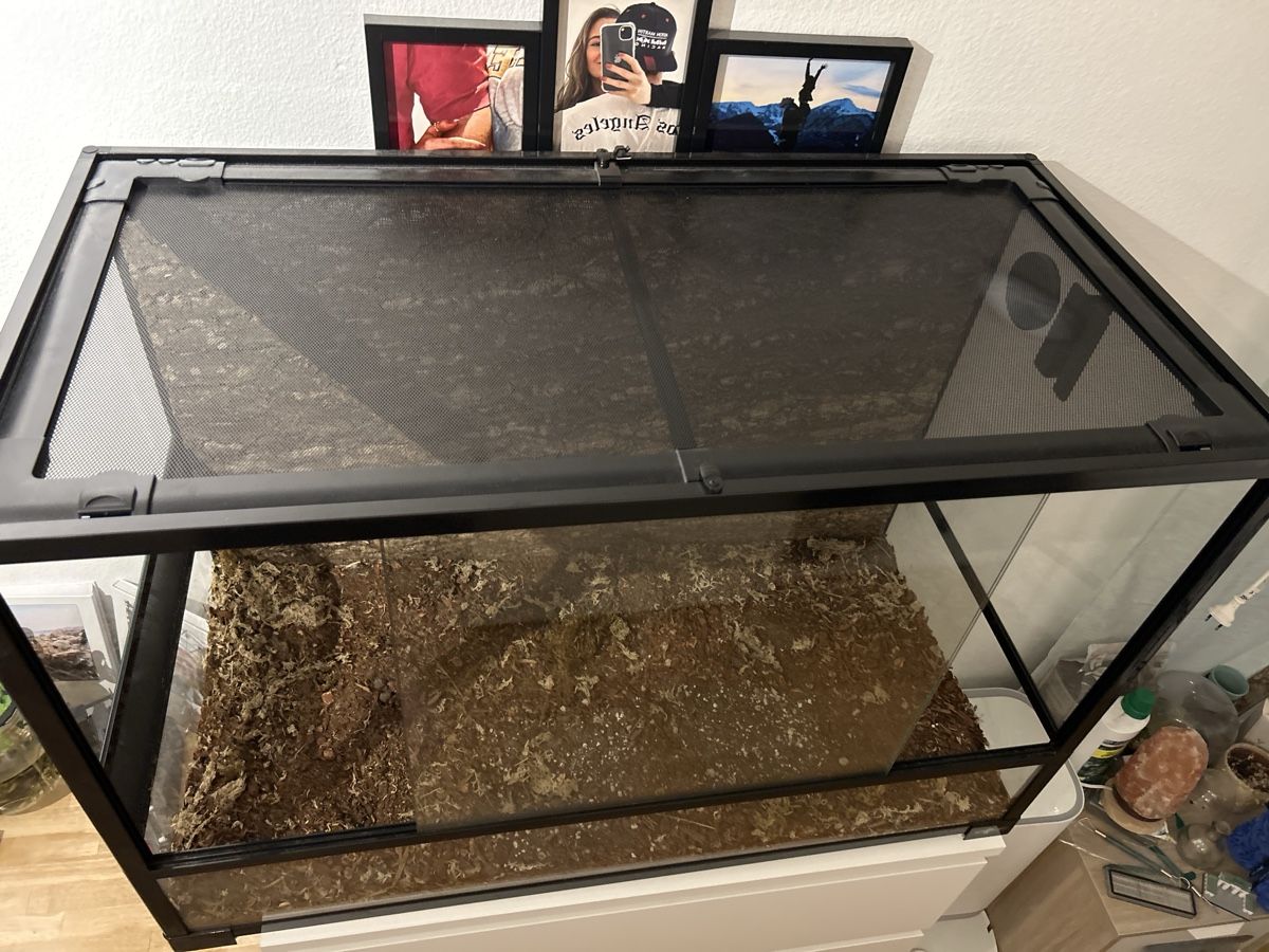 Terrario: Terrarium mit Lampe und Tisch – Usato da Spiez venduto da Marix990 3