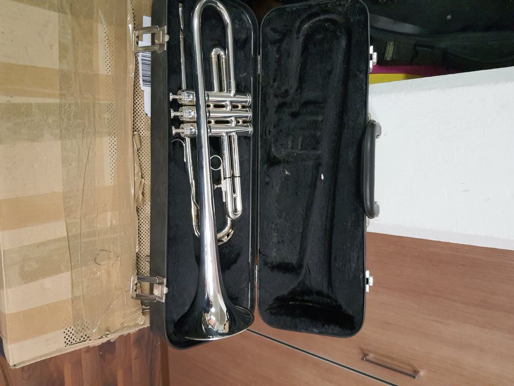 Trompette (Gebraucht) in Pont-de-la-Morge für CHF 150 – nur Abholung ...