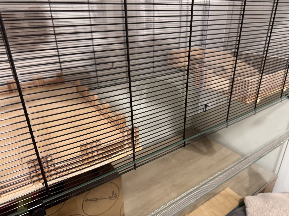 Gabbie, trasporto & Sicurezza: Hamsterkäfig mit Möbel – Usato da Winterthur venduto da Sabrina91 2