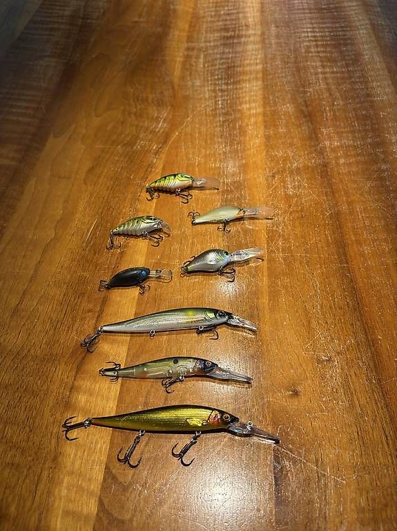 Köder: Diverse Hardbaits – Gebraucht aus Kerns von Ruben.amschwand