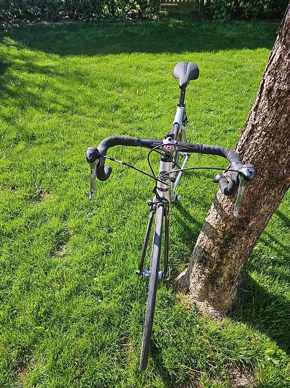 Trek Biciclette: TREK 5000 CARBON RH54 – Usato da Hombrechtikon venduto da jenmo 3