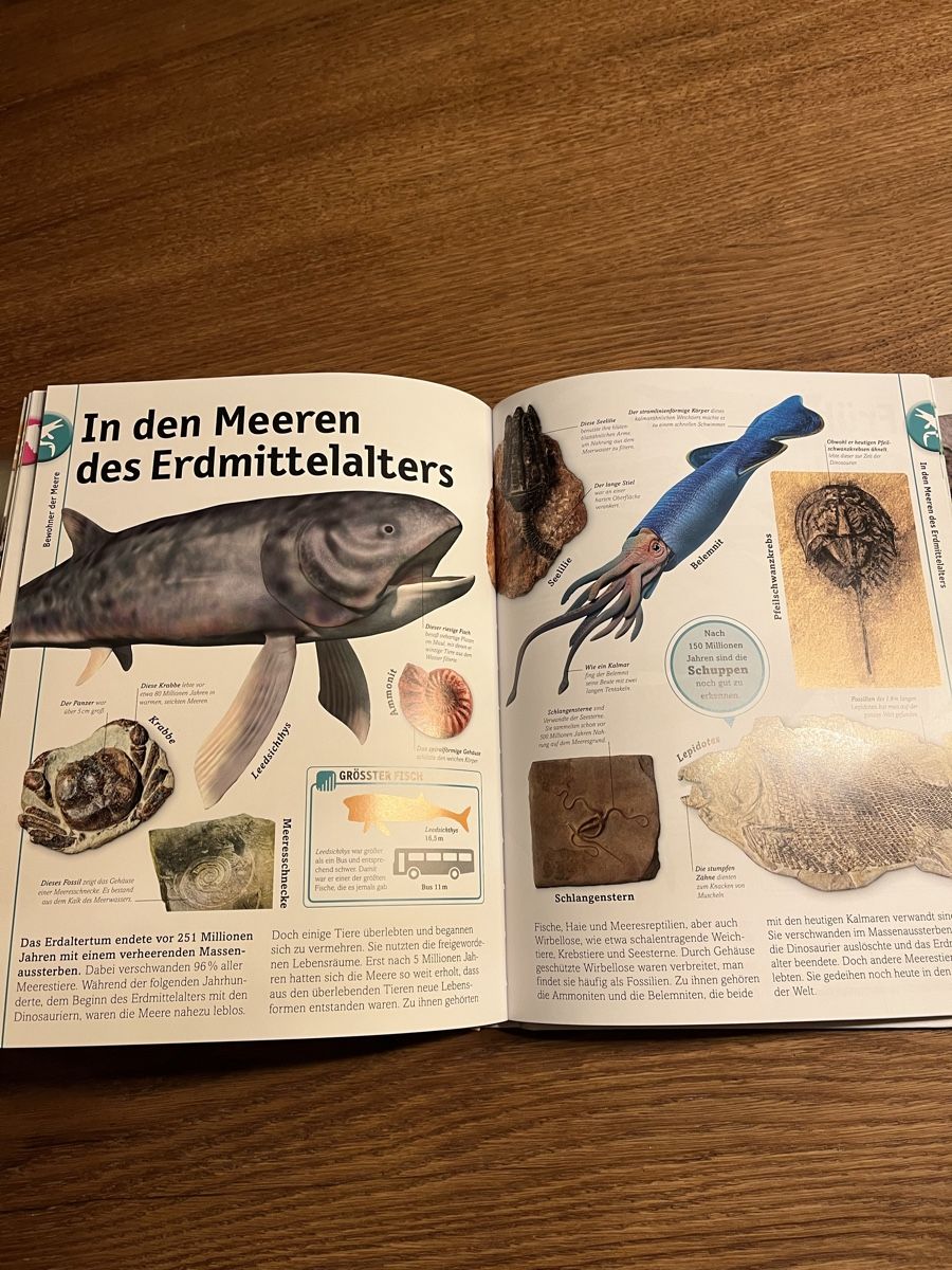 Libri: Dinosaurier buch – Nuovo (secondo la descrizione) da Uebeschi venduto da lee-elle 6
