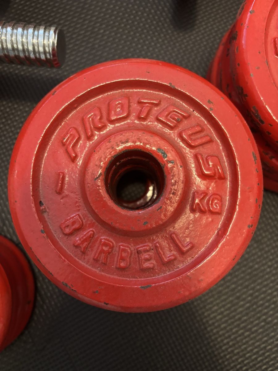 Set 2 Manubri Componibili in Ghisa Proteus + 24 kg di Pesi (D'occasion ...