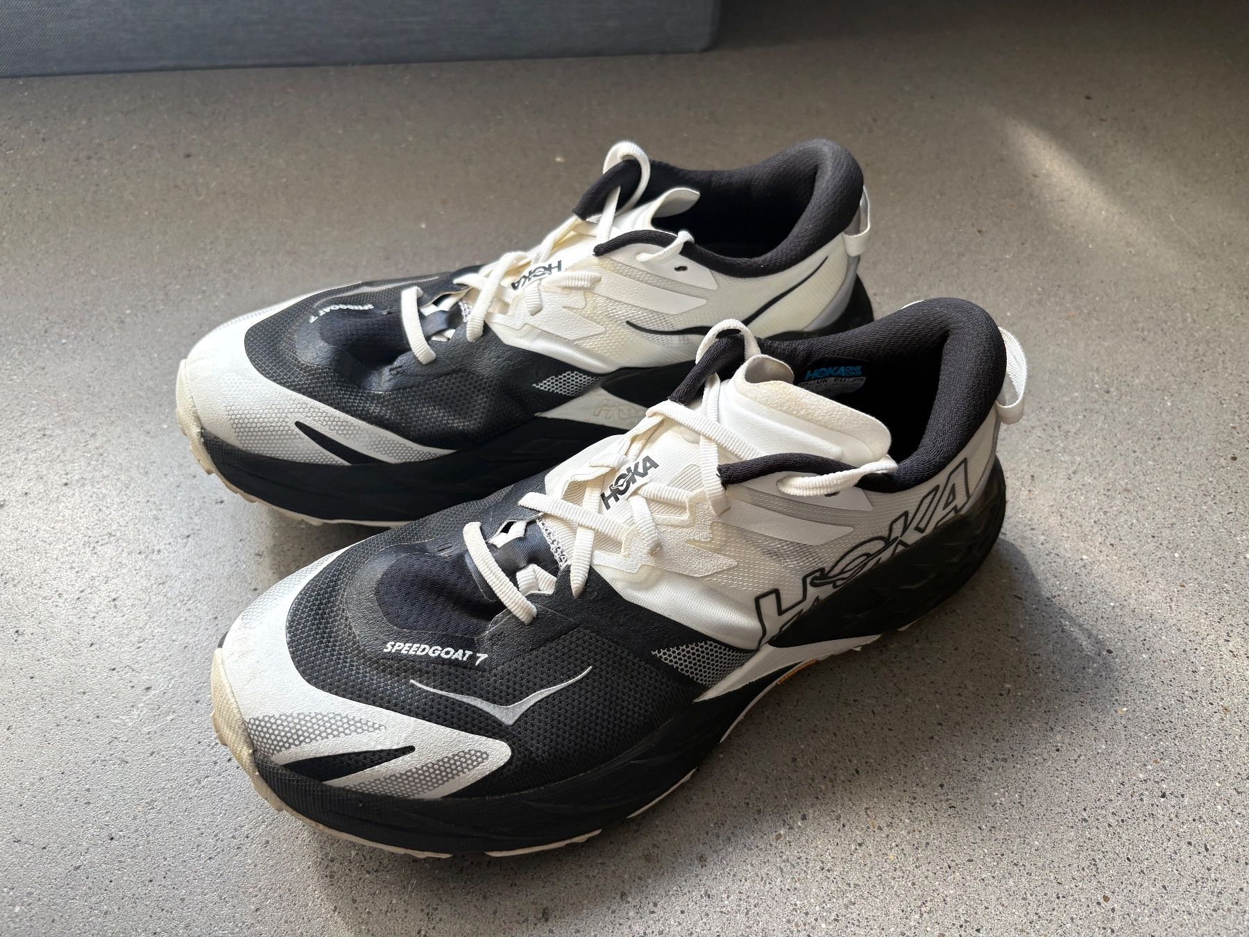 Hoka One One Chaussures hommes: Speedgoat 7 - 45 1/3 wide – D'occasion à Interlaken par dom_t5cc