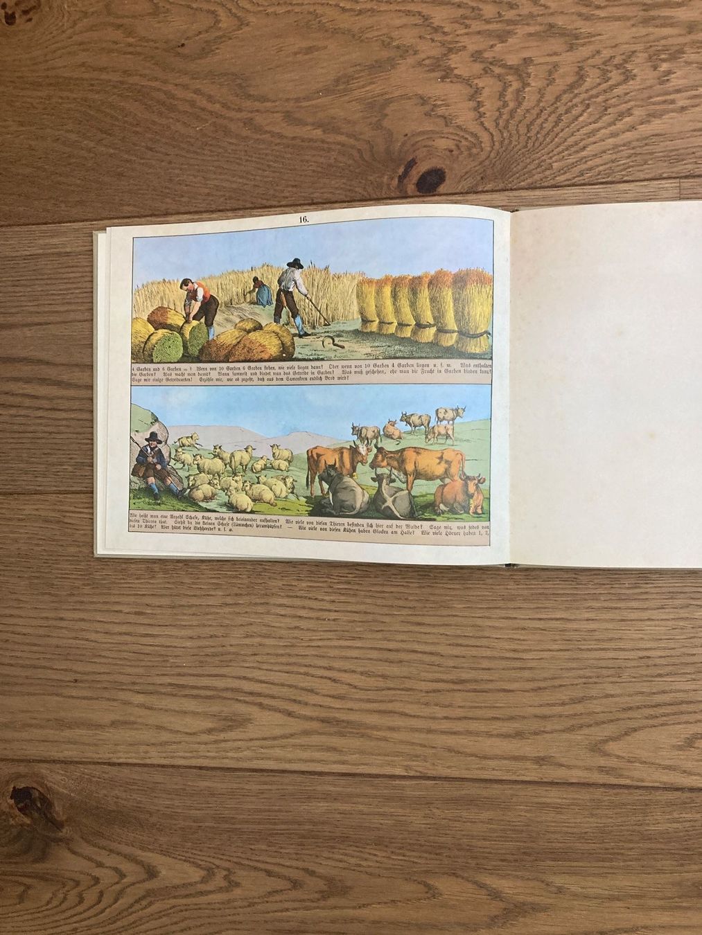 Livres: antikes Bilderbuch von N.Bohny – Neuf avec emballage d'origine à Zollikofen par gamel01 5