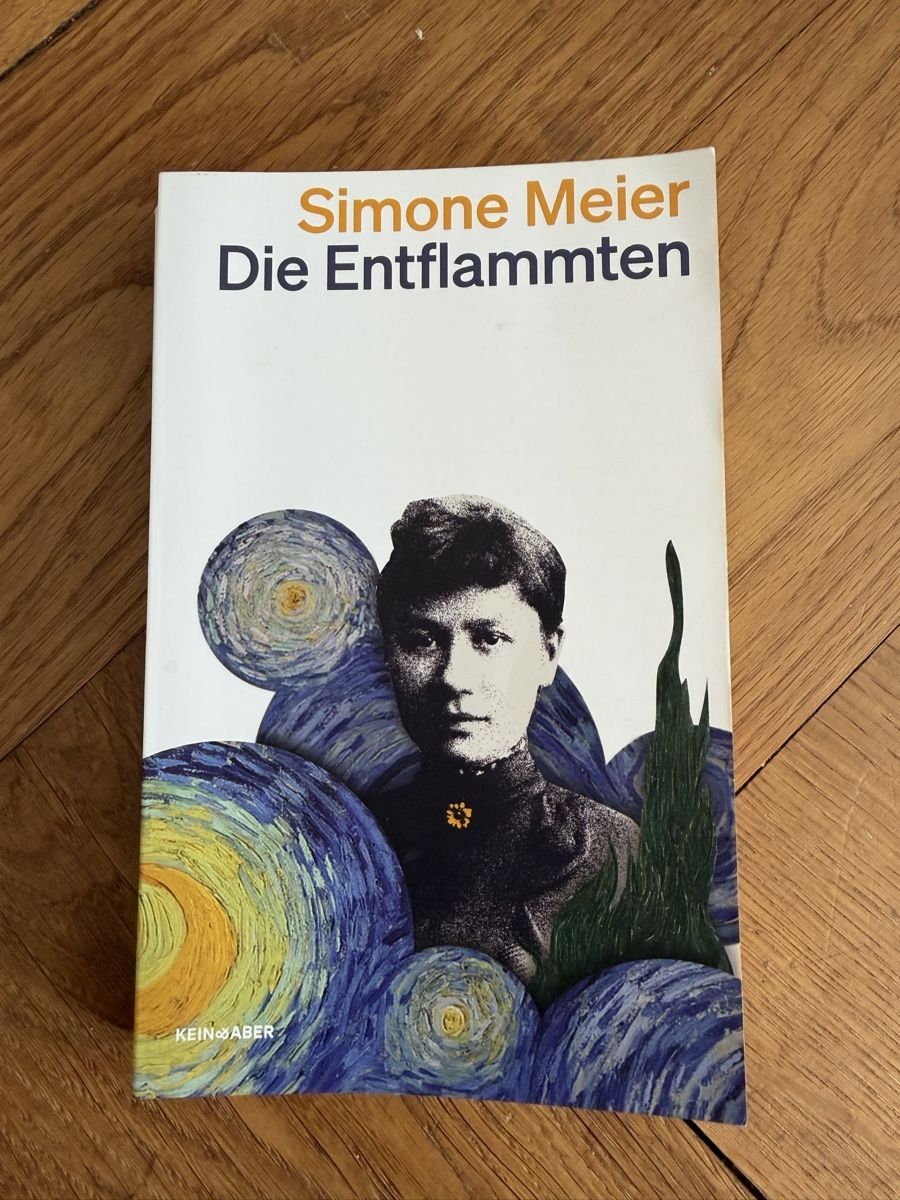 Libri: Simone Meier - Die Entflammten – Usato da Zürich venduto da chi_9dfb