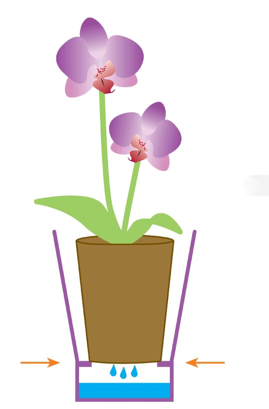 Vasi per fiori: Keramik Orchideenvasen 3 Stk. – Usato da Niederrohrdorf venduto da yan_zkz6 4