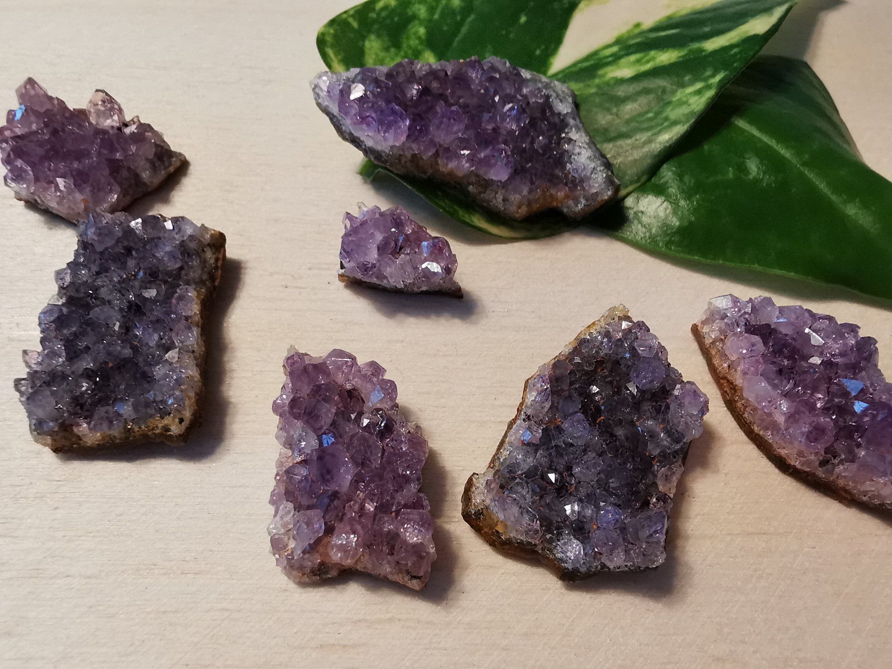 Minerali & Pietre curative: 7 kleine Amethyst Drusen Stücke – Nuovo e nell'imballaggio originale da Dierikon venduto da Buntspecht-10 1