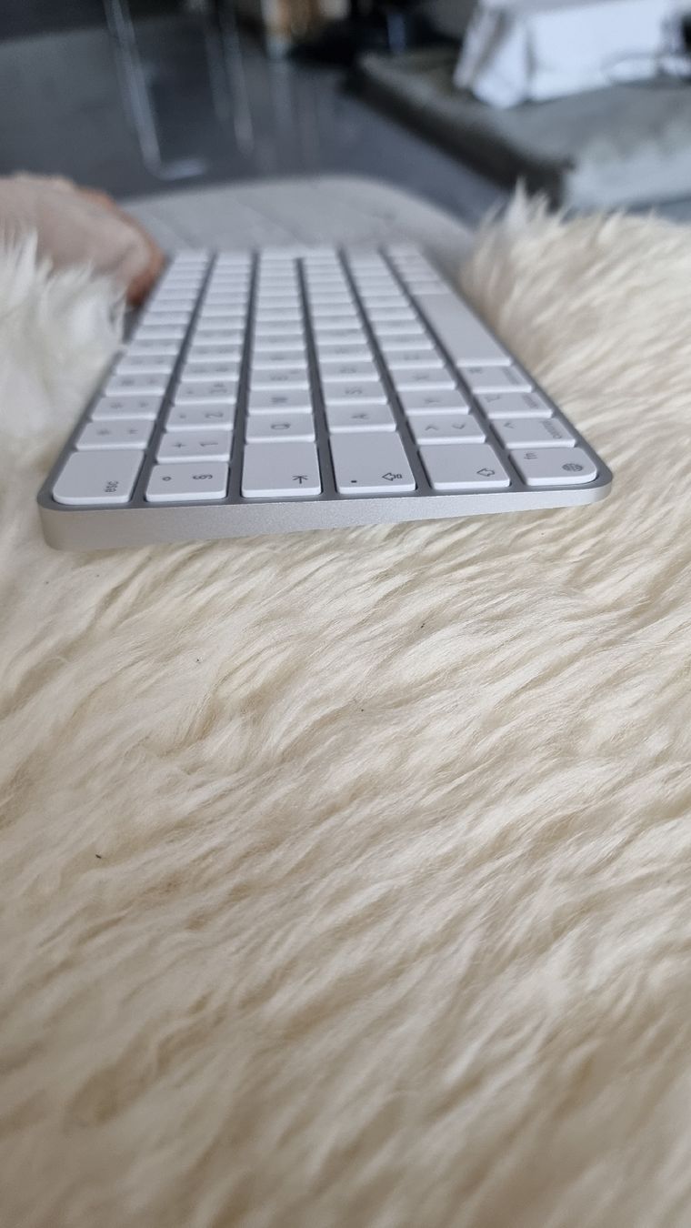 Apple Claviers: Apple Magic Keyboard weiss – Neuf (Voir description) à Immensee par Laatzen 1