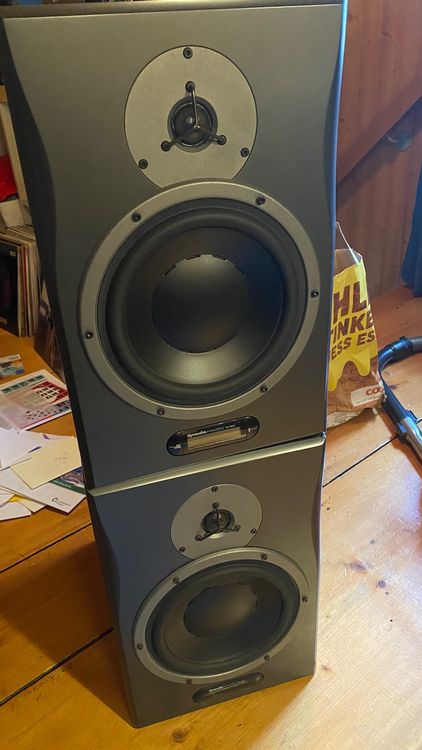 Dynaudio Air 15 Master & Slave (Gebraucht) in Arlesheim für CHF 500 ...
