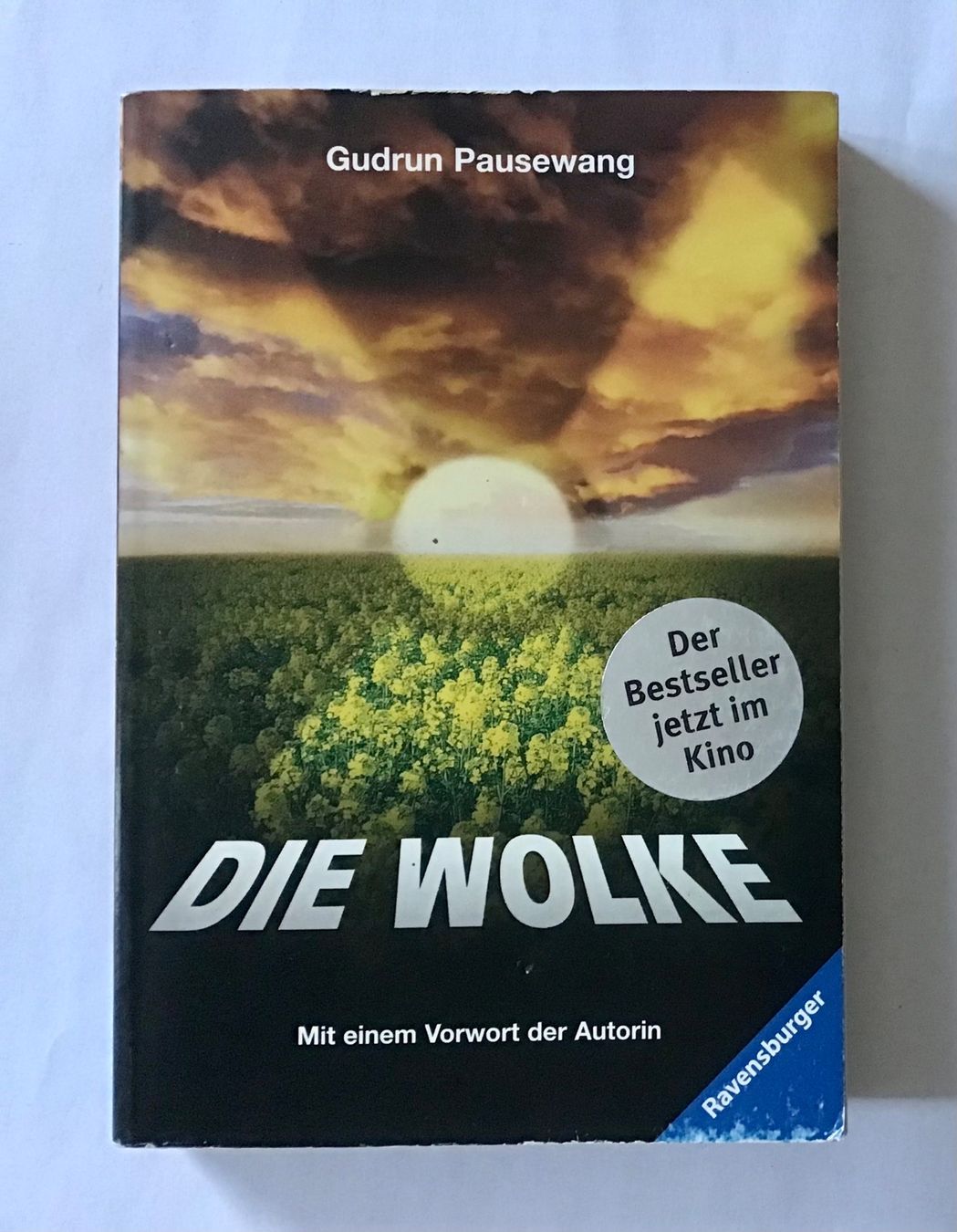 Libri: Gudrun Pausewang "Die Wolke" - Bestseller – Usato da Bubendorf venduto da Alpenheidi
