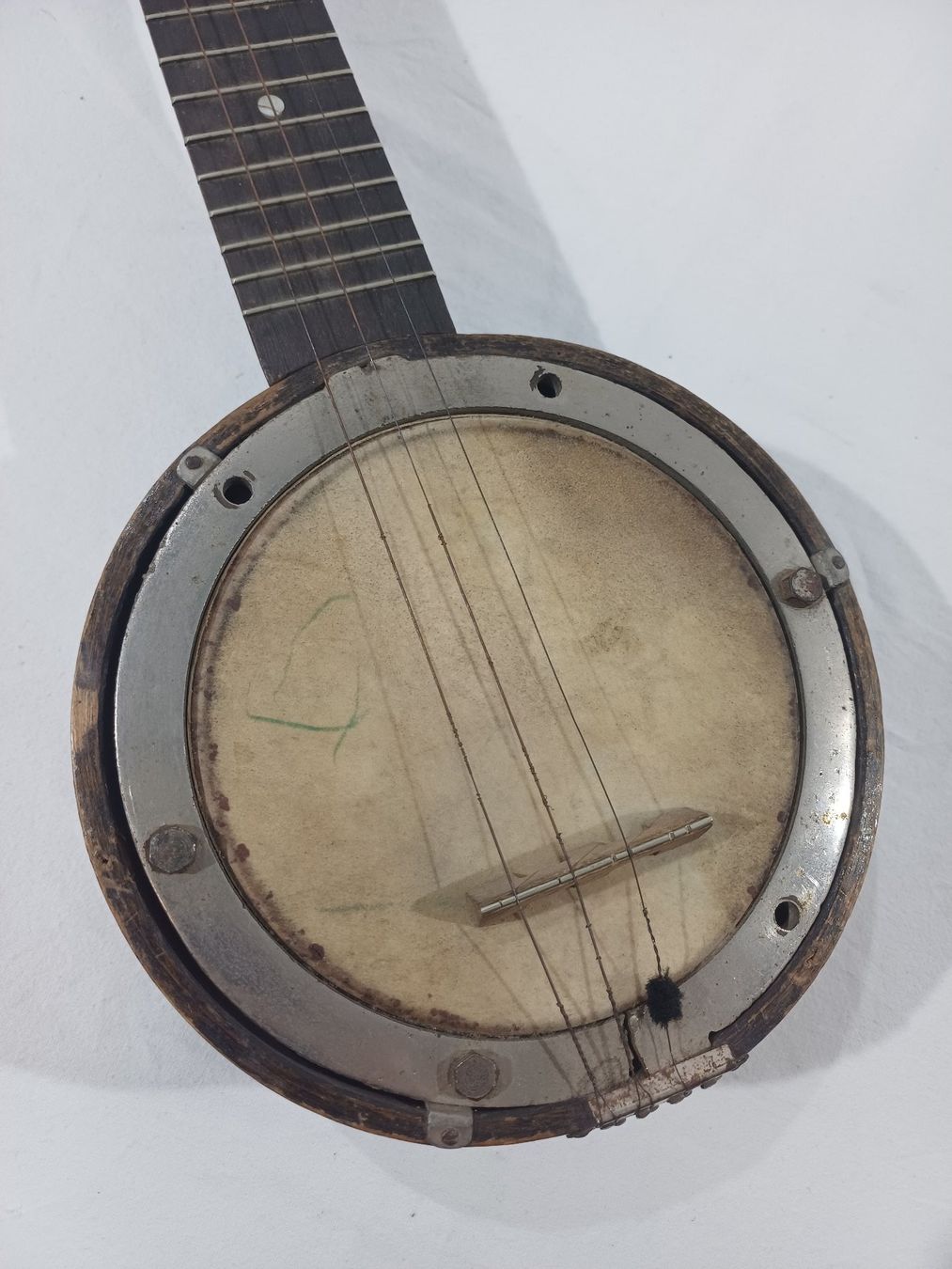 Strumenti musicali: Mandolinenbanjo – Usato da Luzern venduto da IG_Arbeit 5