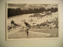 FotoAK  LANGNAU im Emmental, auf Zwygarten