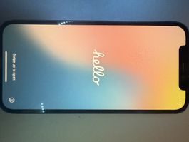 IPhone 12 Blau - 128GB