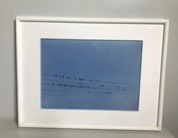 Schwalbenfotografie im Passepartout gerahmt