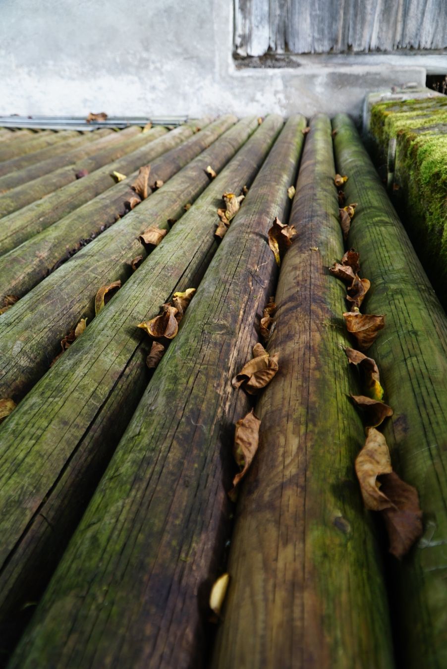 Articles en bois: Druckimpregnierte Rundhölzer – D'occasion à Friltschen par Thurgau11 2