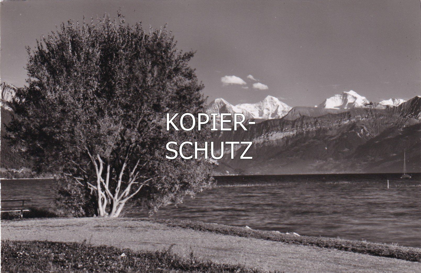 Cartoline postali: Am Thunersee (mit Eiger, Mönch und Jungfrau) /mp – Usato da Hombrechtikon venduto da Rudolf07