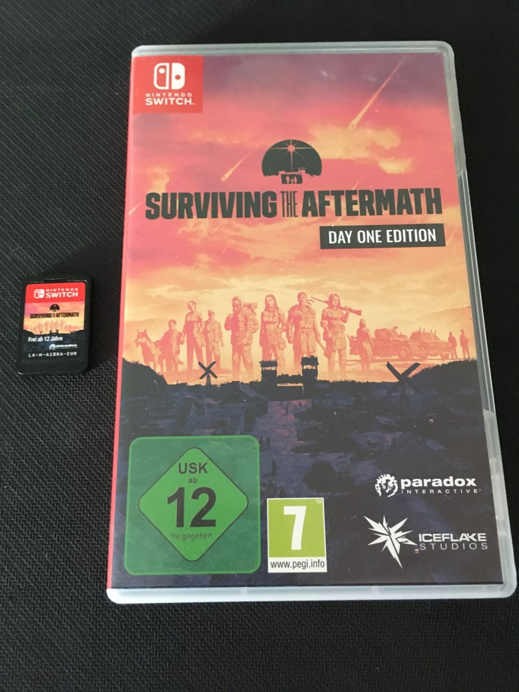 Nintendo Giochi: Surviving the Aftermath für Nintendo Switch – Usato da St.Gallen venduto da sjosjo