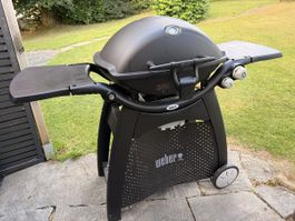 Weber Q Serie