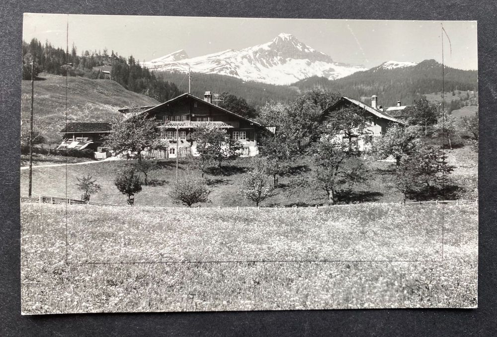 Grindelwald Chalet Bleuer Bühlen Kaufen auf Ricardo