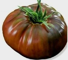 30 Samen RARITÄT : Fleischiges Tomat MARMANDE CHOCOLAT
