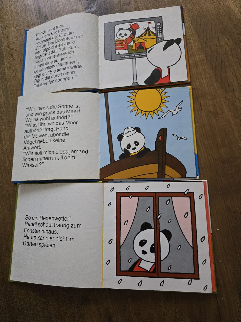 Libri: pandi bücher set – Usato da Wittenbach venduto da Tigerlili 5