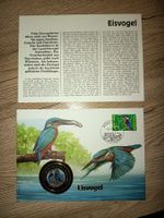 numisbrief eisvogel