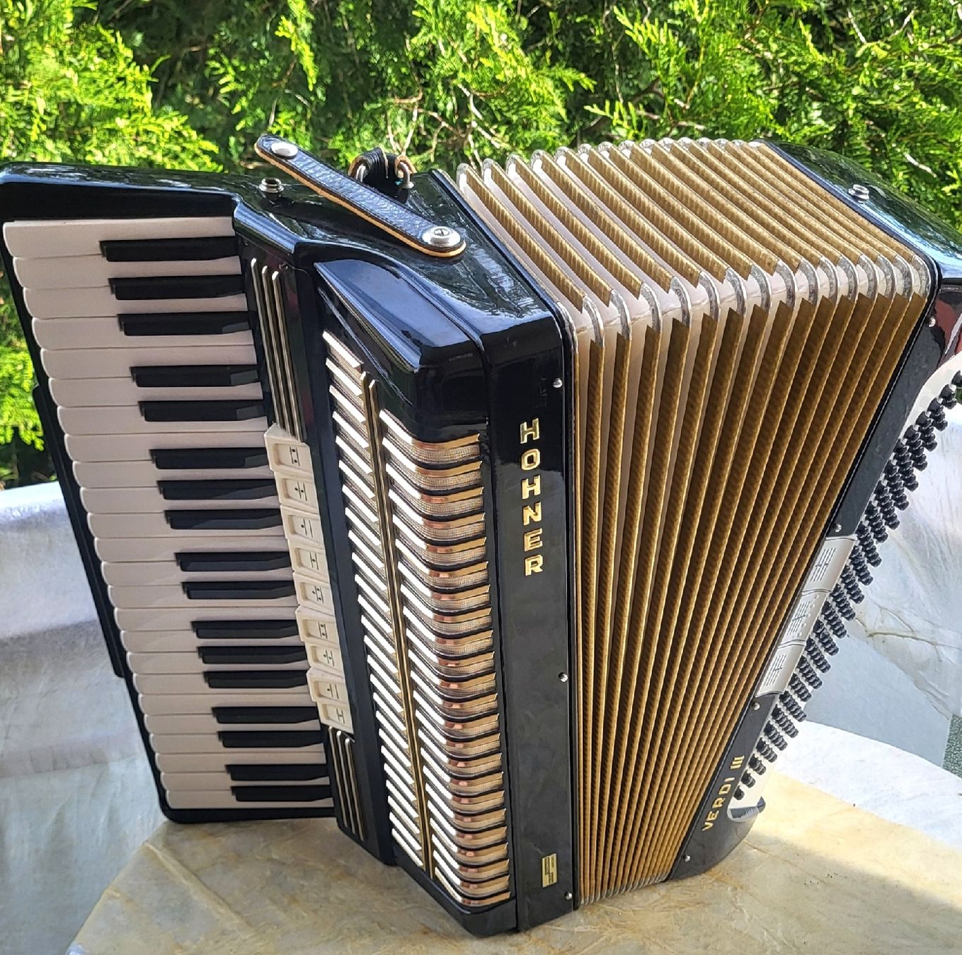 Strumenti musicali: Accordéon hohner Verdi III  – Usato da Penthalaz venduto da EvandroLuz 2