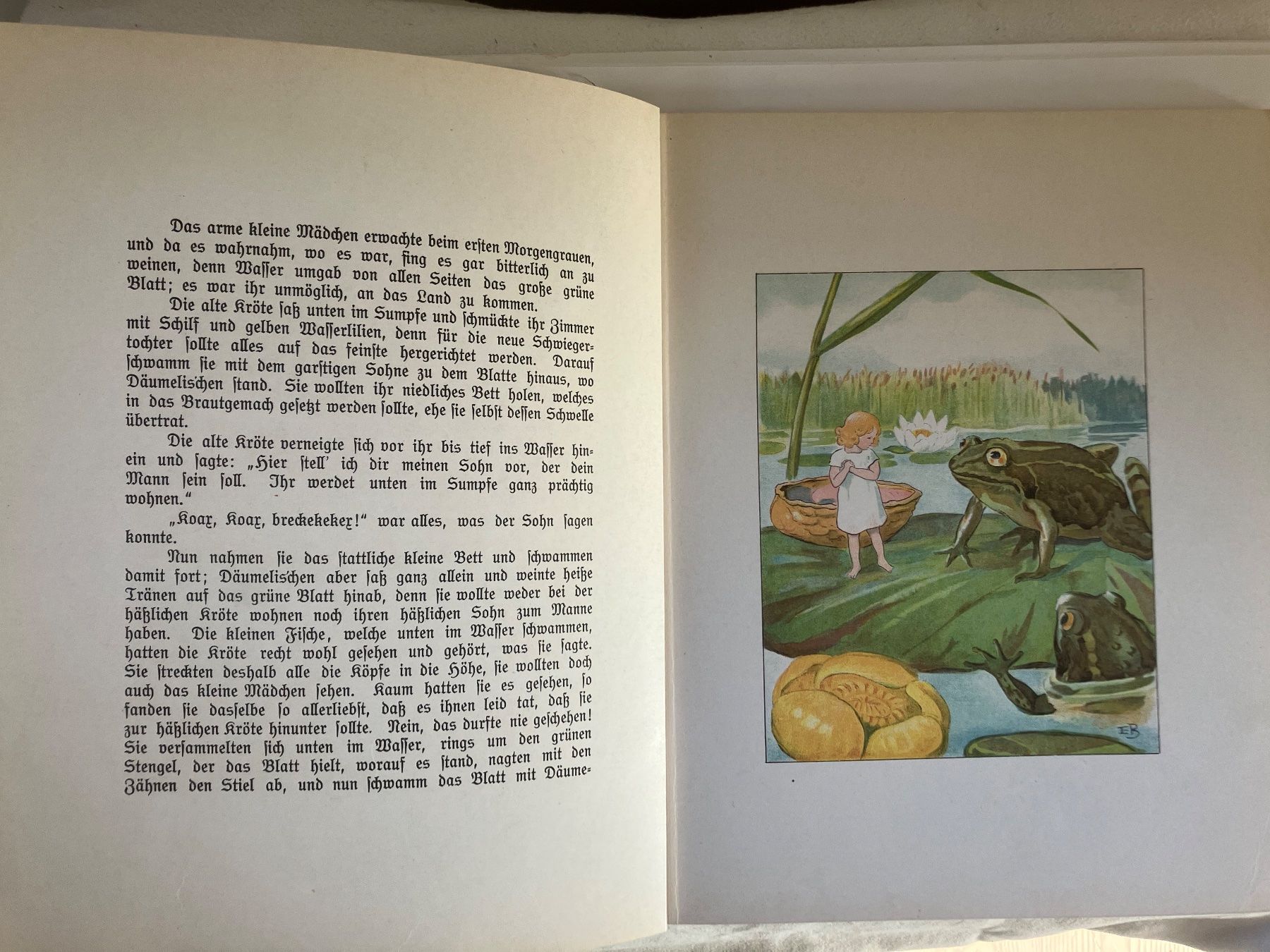 Libri: Däumelis`chen Märchen von Andersen  Bilder von Elsa Beskow – Usato da ZUERICH venduto da Carolus1 4