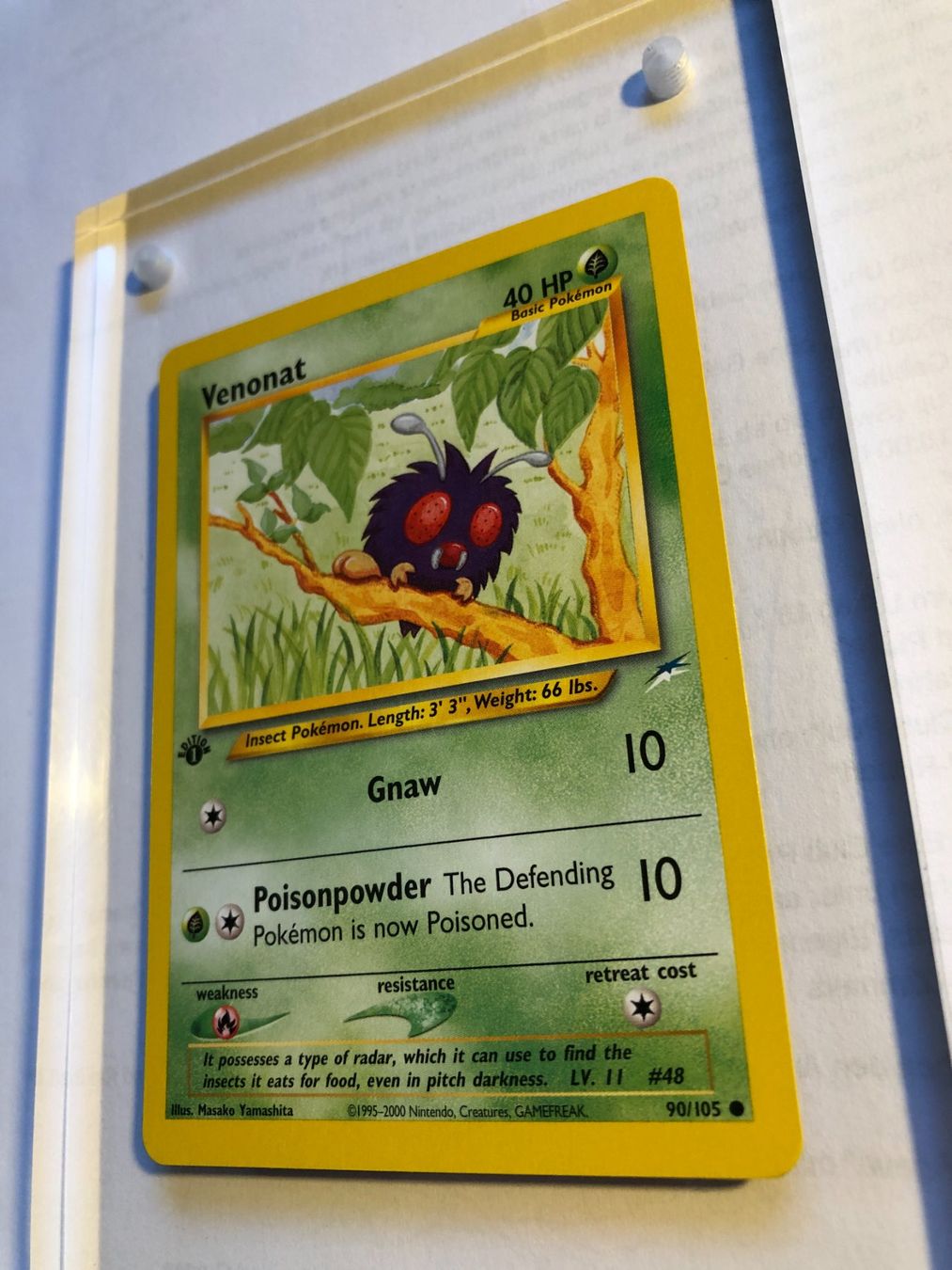 Carte collezionabili: Venonat 1st Neo Destiny - MINT - ab 1.- – Usato da Giubiasco venduto da dan_pr8b 2
