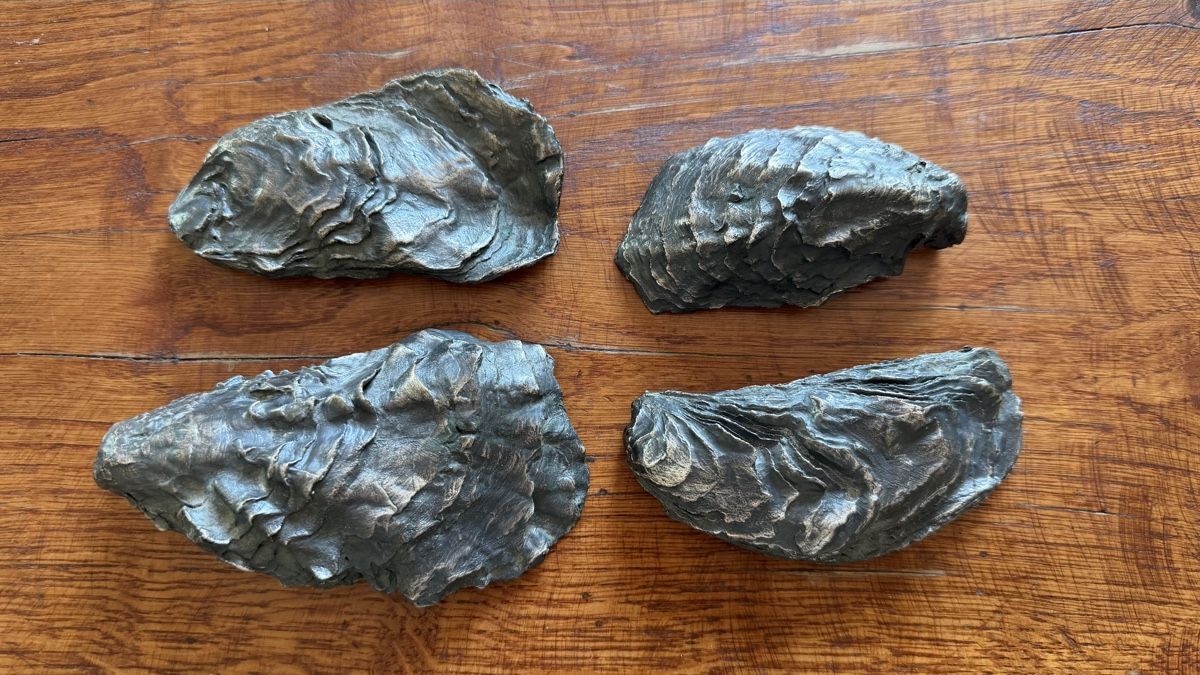 Fossili: 4 Austernschalen mit Silberüberzug antik – Usato da Riedholz venduto da Frettchen63 2