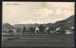 Hausen am Albis, Ortspanorama von einem 