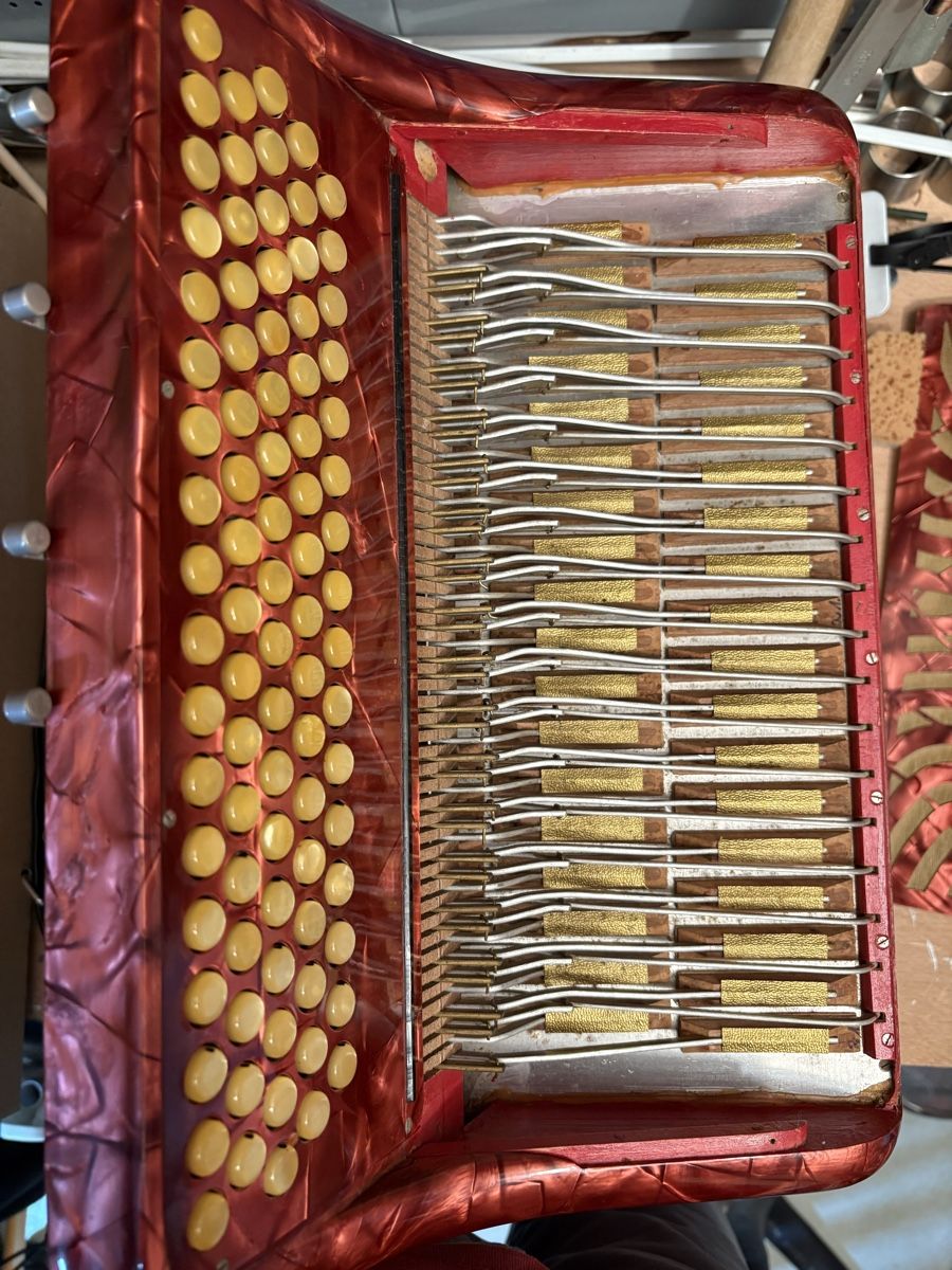 Eichhorn Strumenti musicali: Akkordeon Eichhorn Schwyz – Usato da Boll venduto da Fluero 3