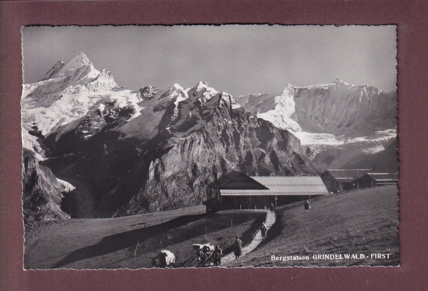 Cartes postales: Bergstation GRINDELWALD-FIRST – D'occasion à Pully par nicecards
