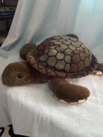 Schildkröte