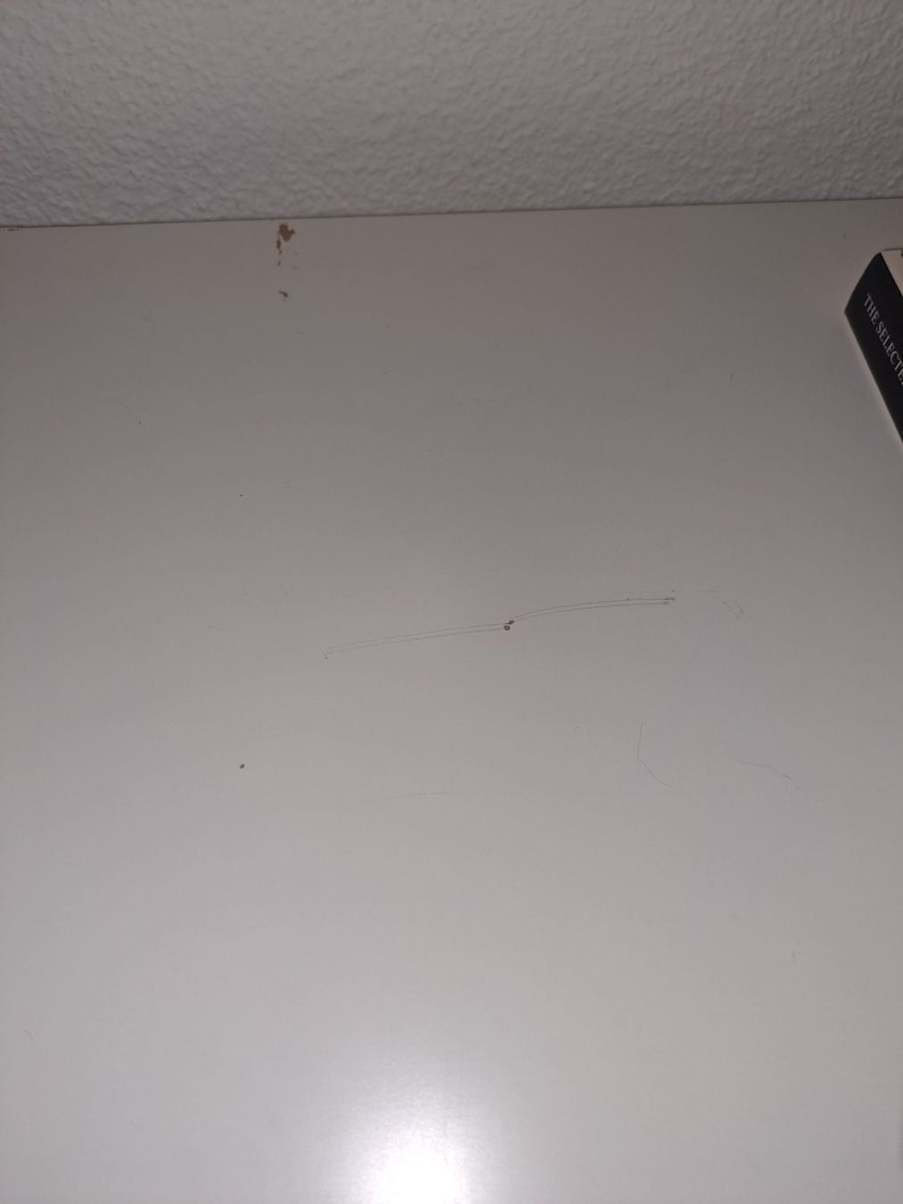 Ikea Regale: Kallax Regal weiss – Neu (gemäss Beschreibung) aus Wädenswil von FrieBro 1