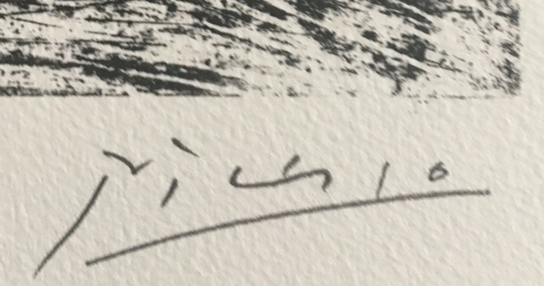 Grafiken & Lithographien: Pablo Picasso     Buffon     "Le Loup" – Gebraucht aus Nennigkofen von Sommersonnen 6