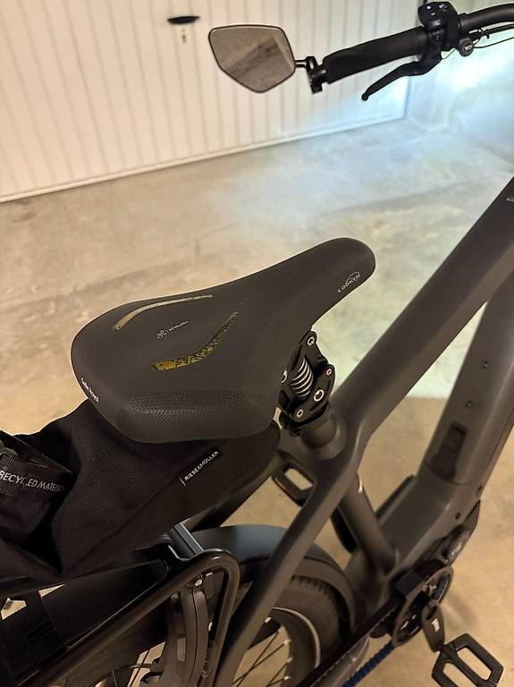 Riese & Müller Biciclette: Riese & Müller 45km/h, NEUF, 0km – Nuovo (secondo la descrizione) da Carouge GE venduto da Lisa_v 4