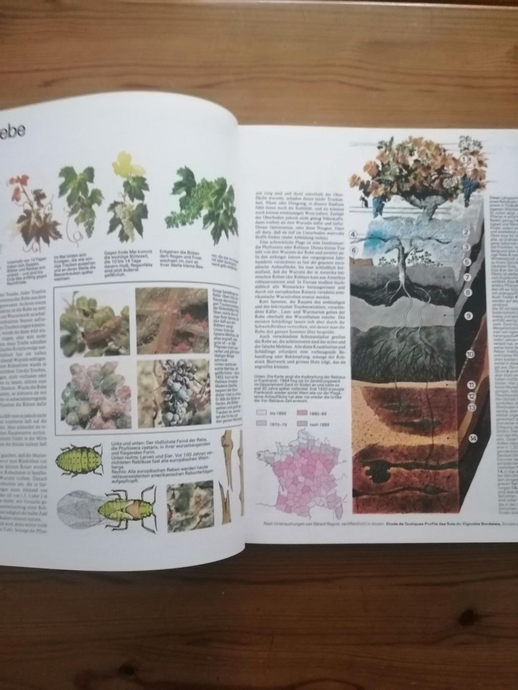 Libri: Weinatlas von Hugh Johnson – Usato da Hinterkappelen venduto da 1399 6
