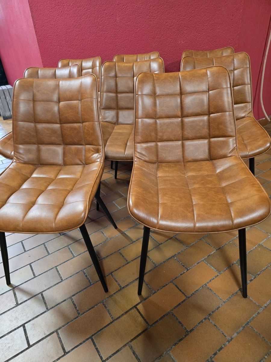 Stühle: 8xstuhl – Gebraucht aus Basel von peterfalk 1