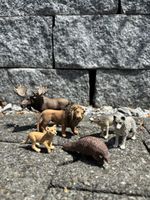 Zoodirektoren aufgepasst - Die Schleich‘s sind hier