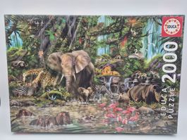 Educa Puzzle "Afrika Dschungel" 2000 Teile, Neu & OVP!